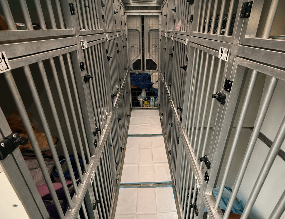 Inside the ADOPTR van: numbered compartments with bedding, on both sides of a clean aisle